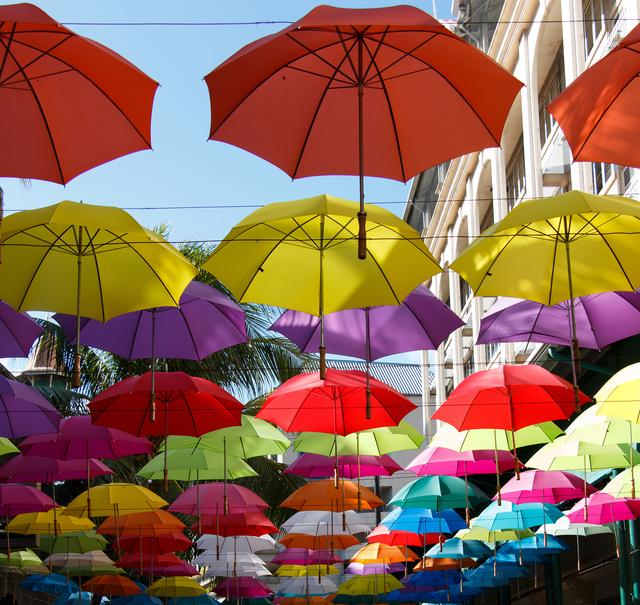 D'Aféierung vum Sunny Regenschirm